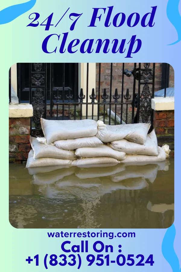 24/7 Flood Cleanup in Santel, TX