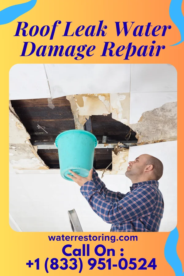 Roof Leak Water Damage Repair in Santel, TX