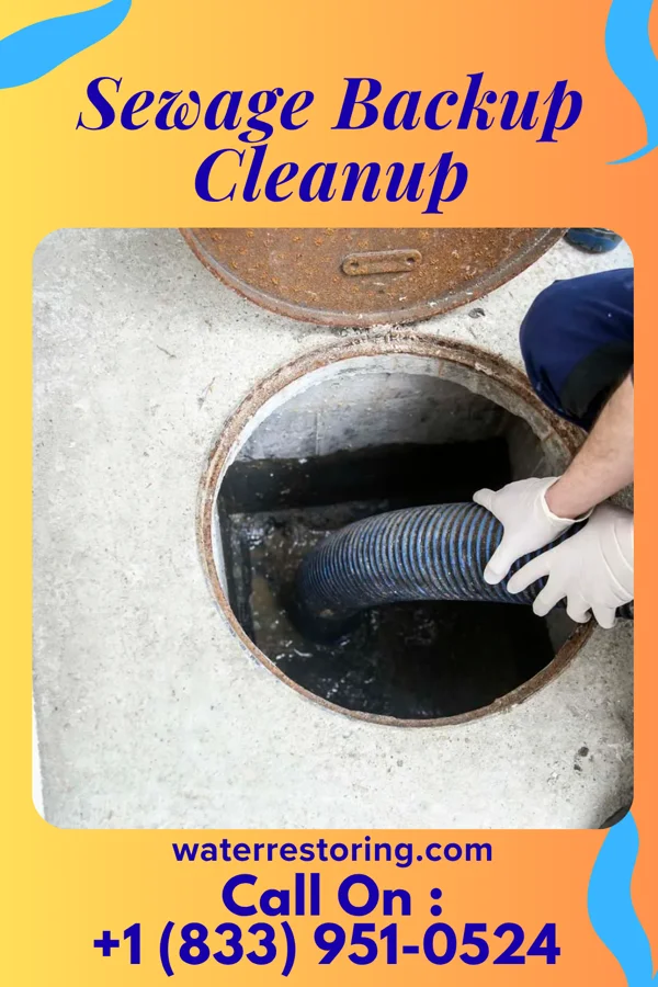 Sewage Backup Cleanup in Santel, TX