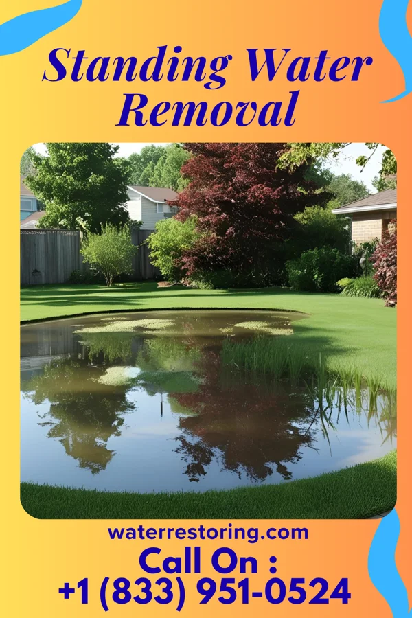 Standing Water Removal in Santel, TX